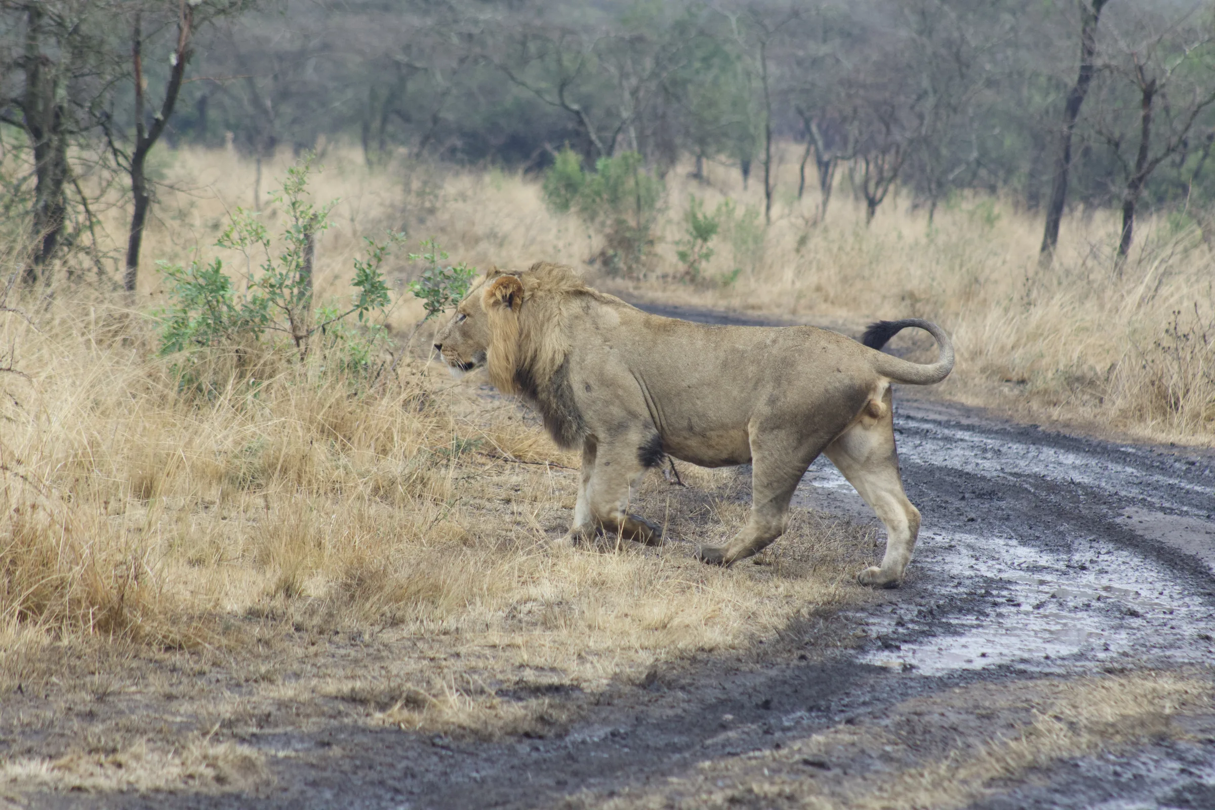 Murchison Falls National Park